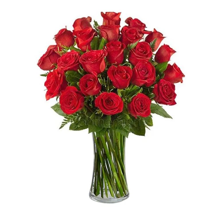 τριανταφυλλα και το φθινοπωρο