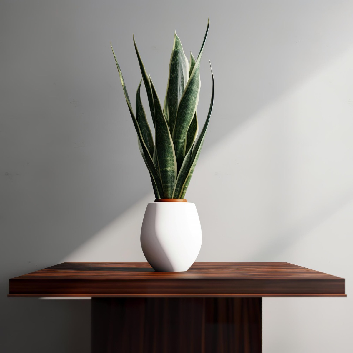 Τα καλυτερα φυτα μεγαλα και ευκολα