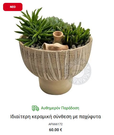 ευκολα φυτα