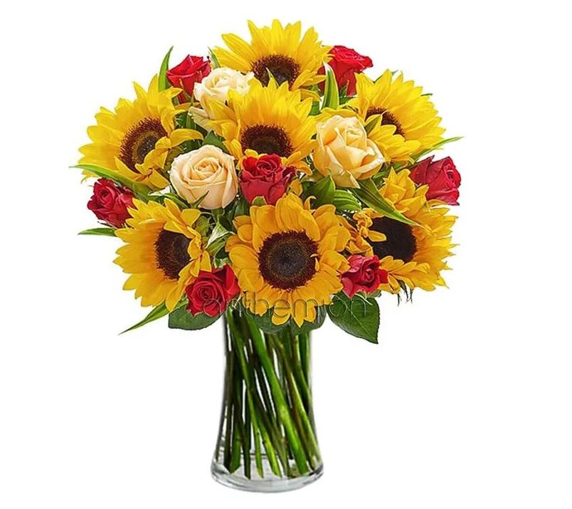 ηλιανθοι τριανταφυλλα