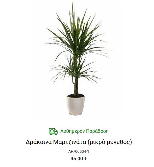 δρακαινα αγορα