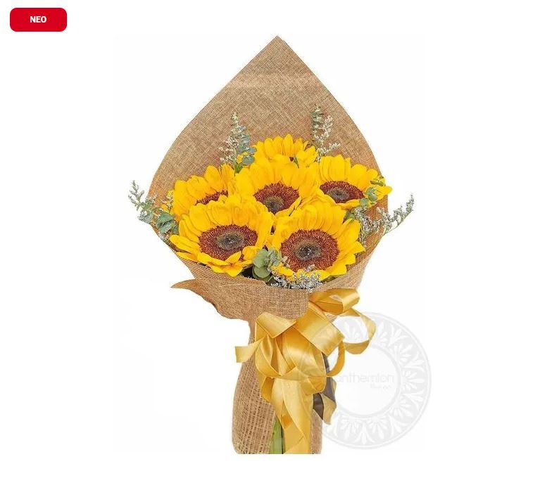 ηλιανθη πολιτικοσ γαμοσ