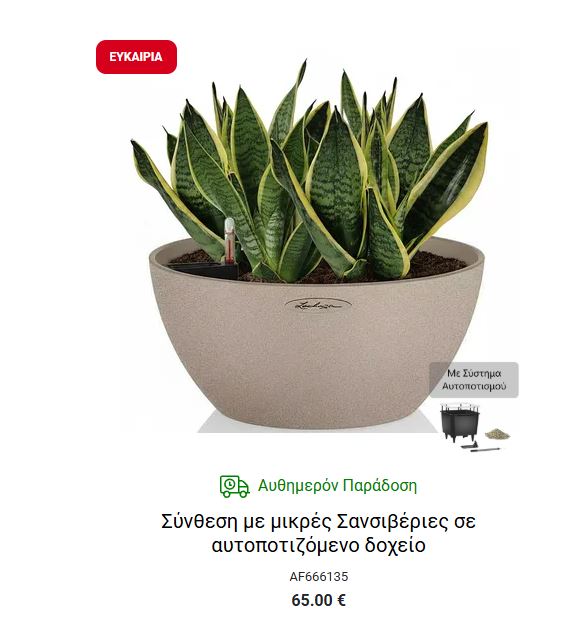 σανσεβιεριασ εσωτερικοι χωροι