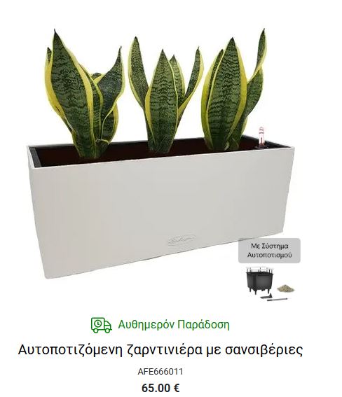 σανσεβιερια για γραφειο