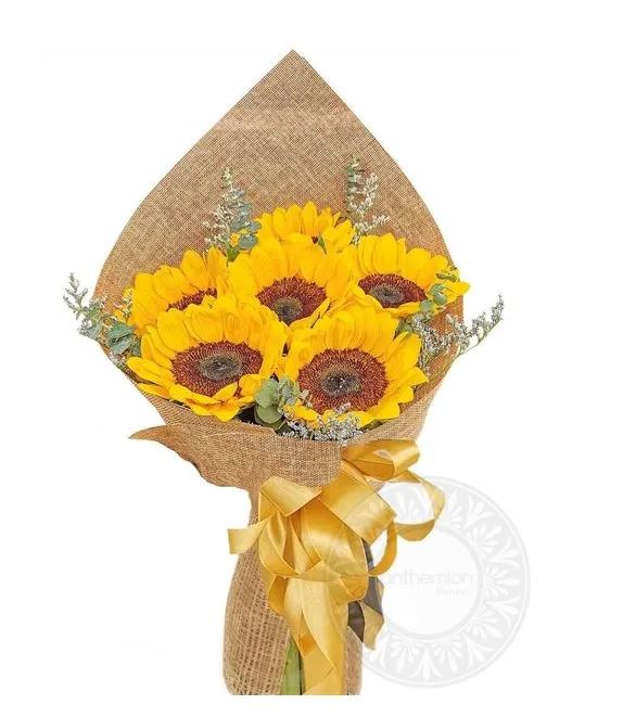 ηλιανθοι για φθινοπωρο