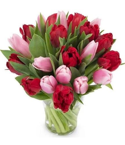 ροζ και κοκκινες τουλιπες