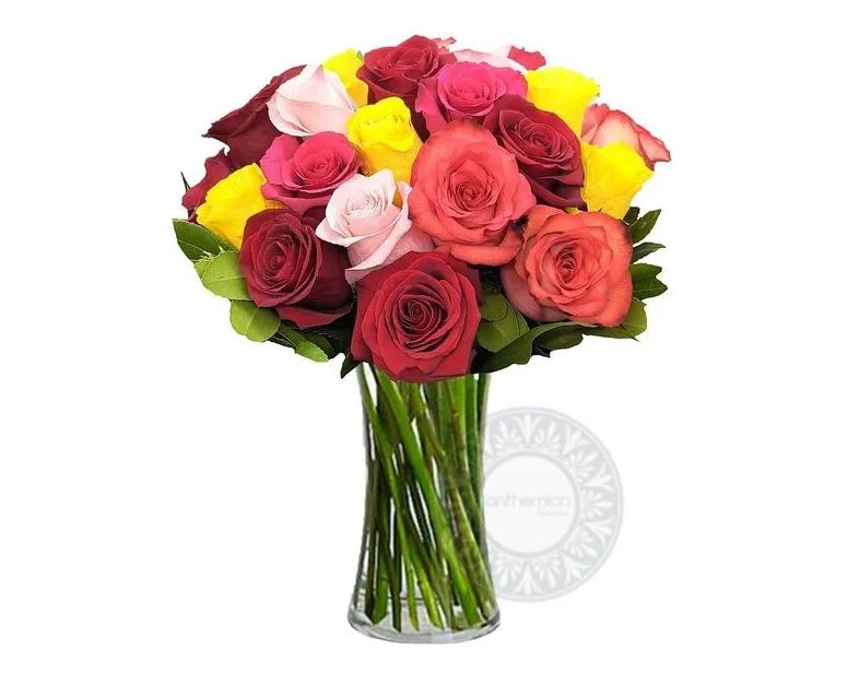 χρωματιστα τριανταφυλλα