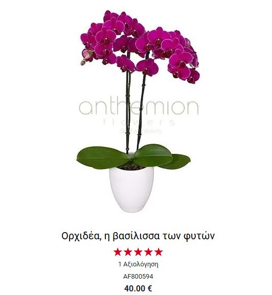 προτωτυπα δωρα της μητερας ορχιδεεσ