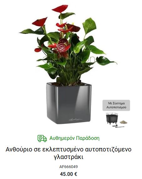 δωρο γλαστρα αυτοποτιζομενη