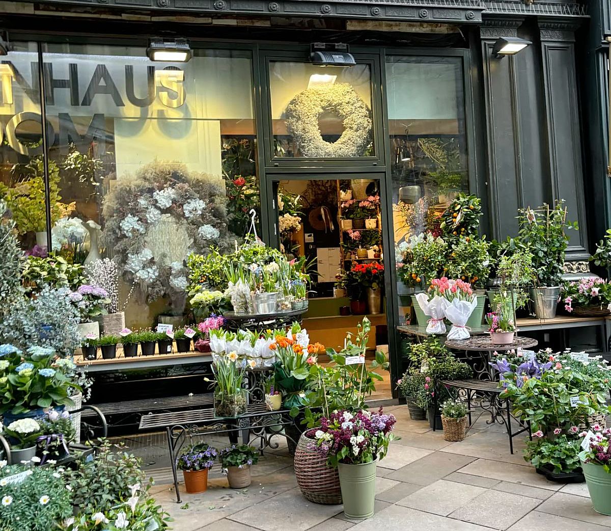 anthopolio-anthemionflowers